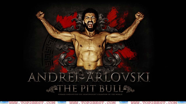 Man beard shirt arms in free wallpaper for desktop - medium preview image