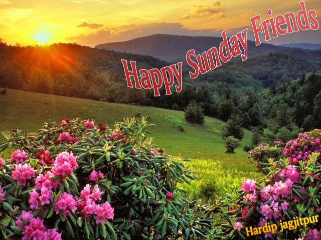 Sunset happy sunday field of free wallpaper for desktop - medium preview image