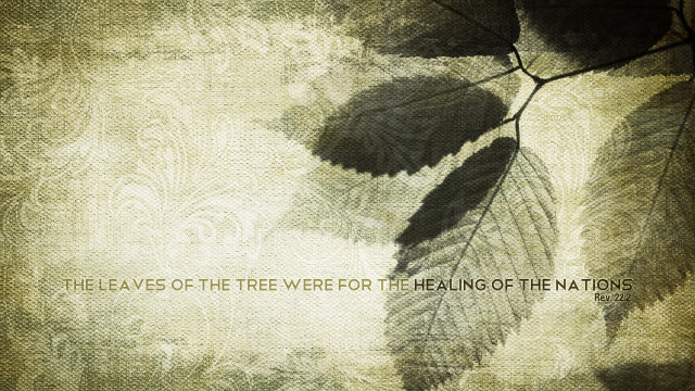 Leaf quote healing nations tree free wallpaper for desktop - medium preview image