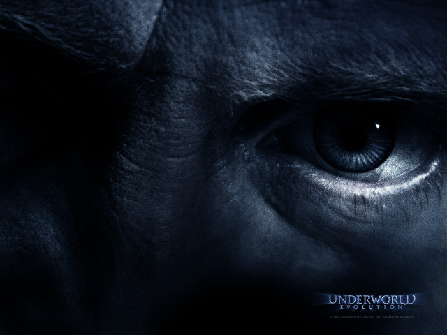 Close up eye underworld blue free wallpaper for desktop - medium preview image