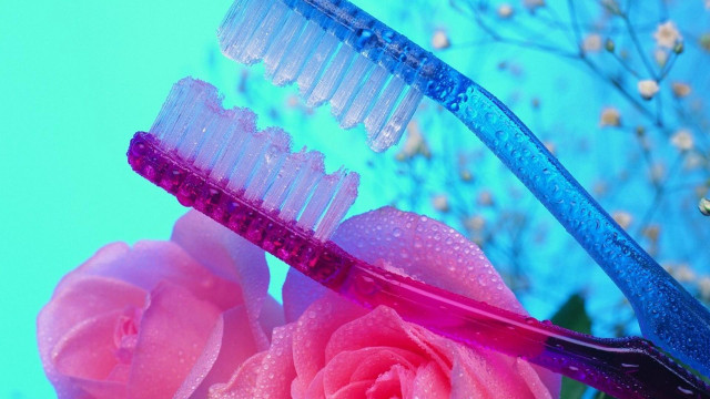 Pink rose blue toothbrush water free wallpaper for desktop - medium preview image