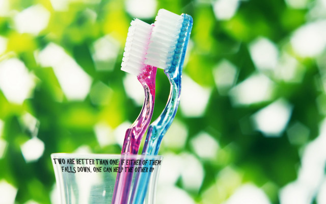 Two toothbrushes in glass with free wallpaper for desktop - medium preview image