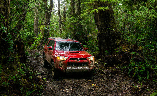 Red truck driving forest trail free wallpaper for desktop - medium preview image