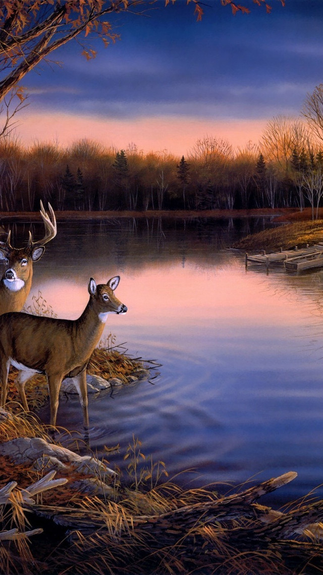 Deer water tree boat sunset free wallpaper for mobile - medium preview image