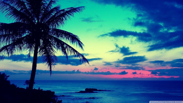 Palm tree silhouette colorful sunset free wallpaper for desktop - medium preview image