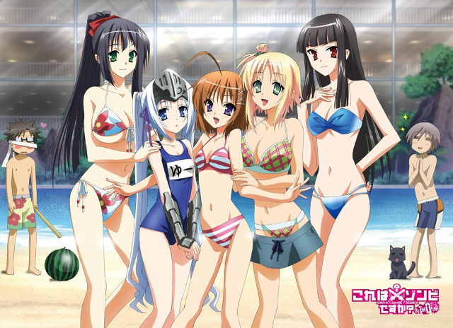 Women bathing suits beach cat free wallpaper for desktop - medium preview image