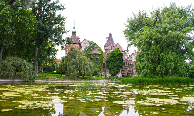 Castle pond trees swans water free wallpaper for desktop - medium preview image