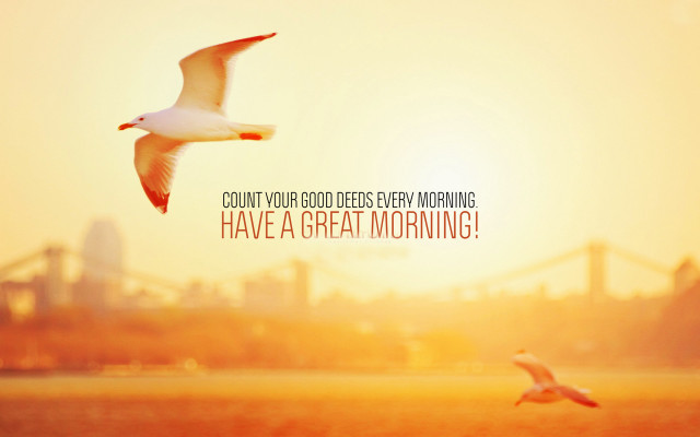 Bird water sunset quote morning free wallpaper for desktop - medium preview image