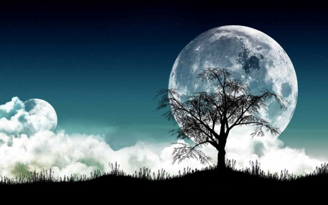 Tree field full moon clouds free wallpaper for desktop - medium preview image