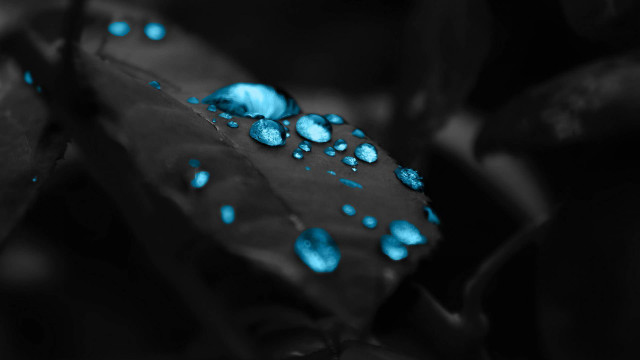 Leaf blue drops water surface #2 free wallpaper for desktop - medium preview image