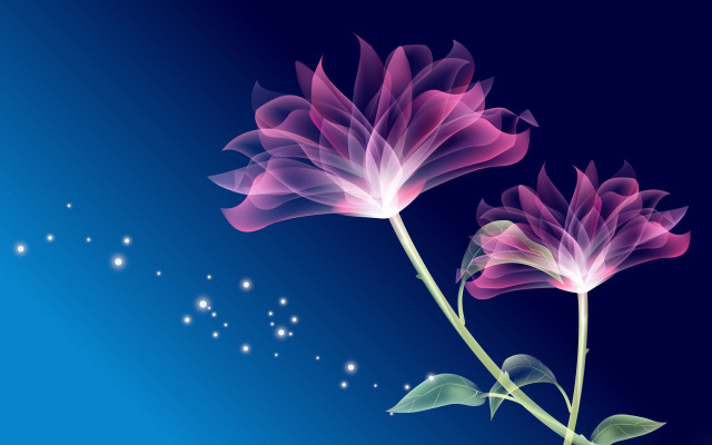Pink flower blue background stars free wallpaper for desktop - medium preview image