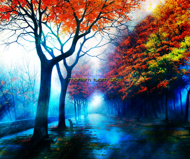 Park fall colors trees bench free wallpaper for desktop - medium preview image