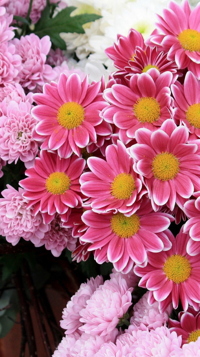 Pink white flowers vase table free wallpaper for mobile - medium preview image