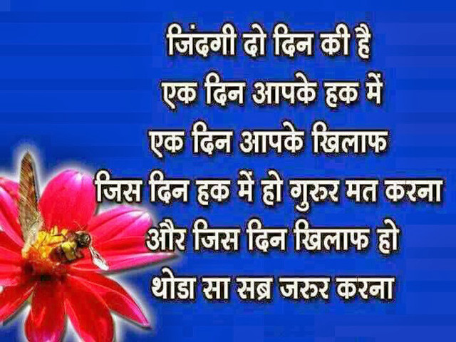 Pink flower bee quote image free wallpaper for desktop - medium preview image