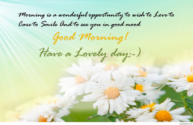 Daisies good morning message image free wallpaper for desktop - medium preview image