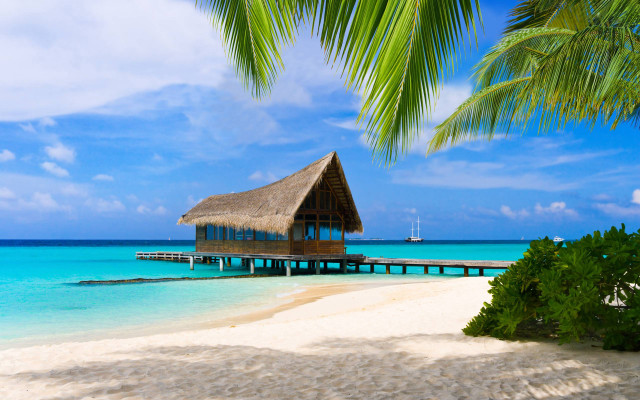 Beach hut dock boat palm free wallpaper for desktop - medium preview image
