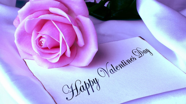 Pink rose valentines white card free wallpaper for desktop - medium preview image
