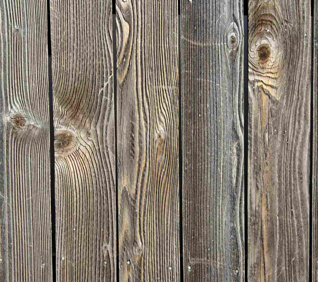Bird perched wooden fence post free wallpaper for tablet - medium preview image