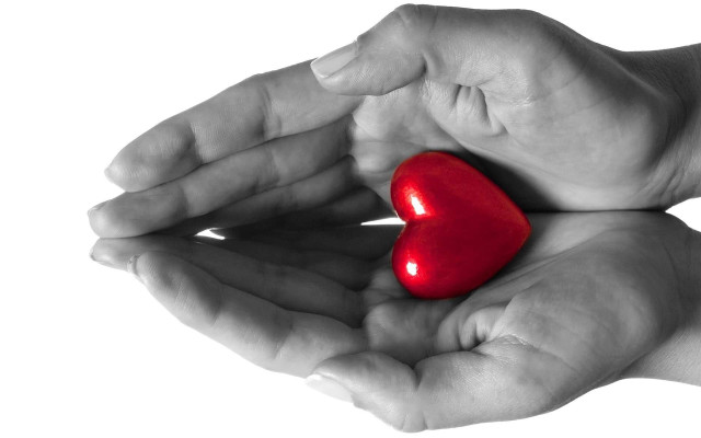 Hands holding red heart palm free wallpaper for desktop - medium preview image