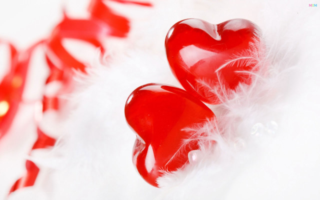 Red hearts feathery surface white free wallpaper for desktop - medium preview image