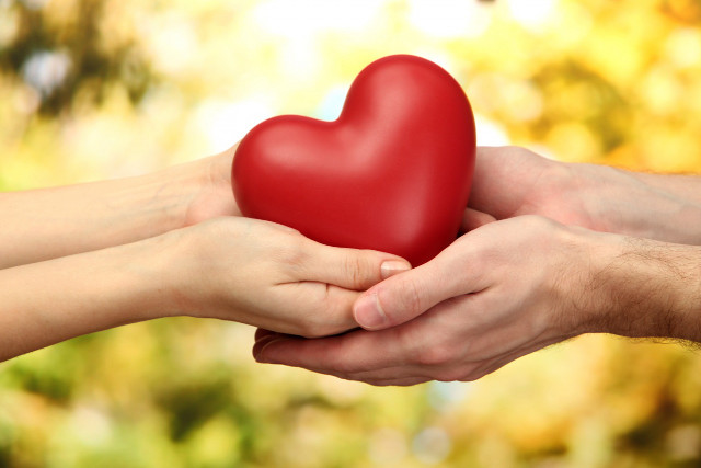 Heart hands blurred background trees free wallpaper for desktop - medium preview image