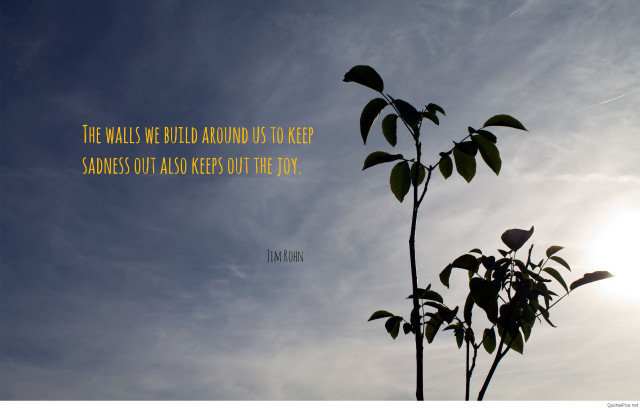 Plant sky background quote author free wallpaper for desktop - medium preview image