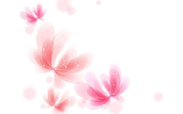 Pink flower bubbles white background free wallpaper for desktop - medium preview image