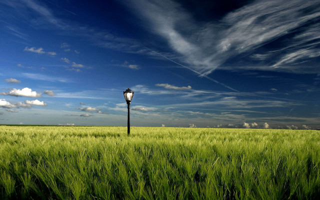 Lamp post field blue sky free wallpaper for desktop - medium preview image