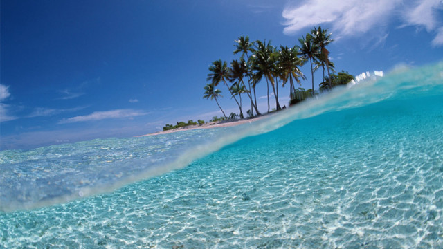 Wave beach palm trees sky free wallpaper for desktop - medium preview image