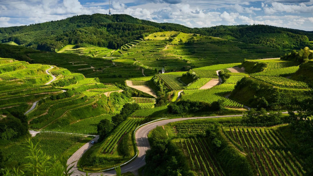 Lush green valley winding road free wallpaper for desktop - medium preview image