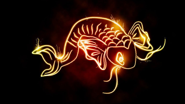 Long tail fish tail like free wallpaper for desktop - medium preview image