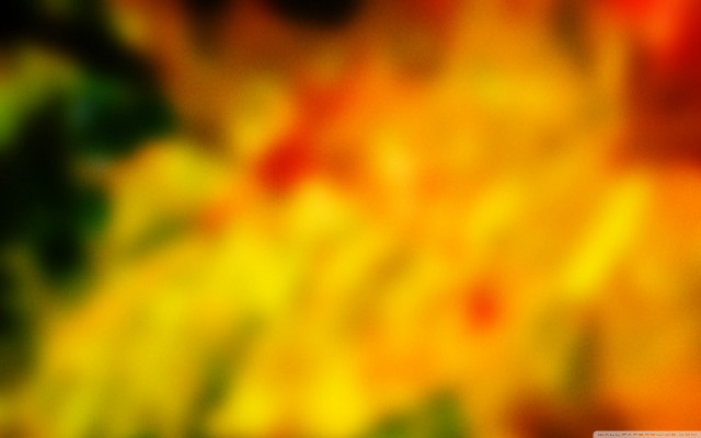 Blurry yellow red flower green free wallpaper for desktop - medium preview image