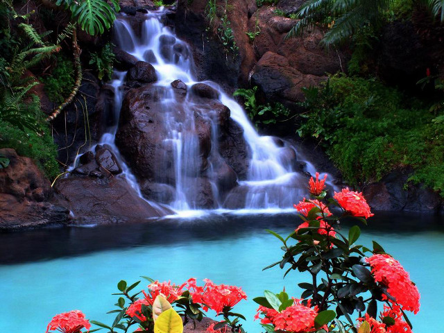 Waterfall red flowers blue pool free wallpaper for desktop - medium preview image