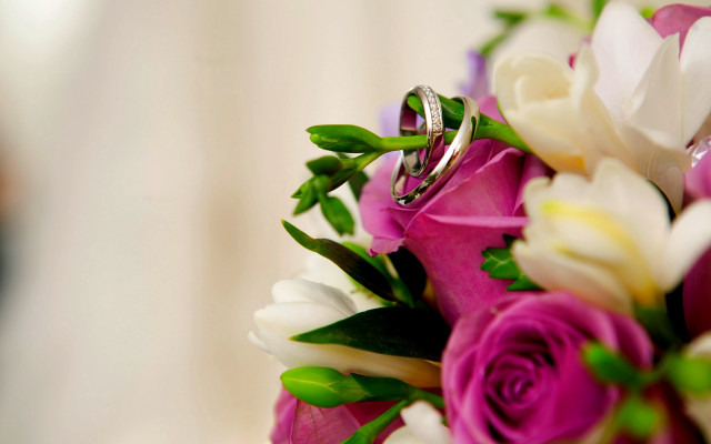 Wedding ring bouquet flowers greenery free wallpaper for desktop - medium preview image