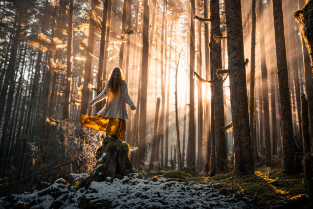 Woman white dress forest sunbeams free wallpaper for desktop - medium preview image
