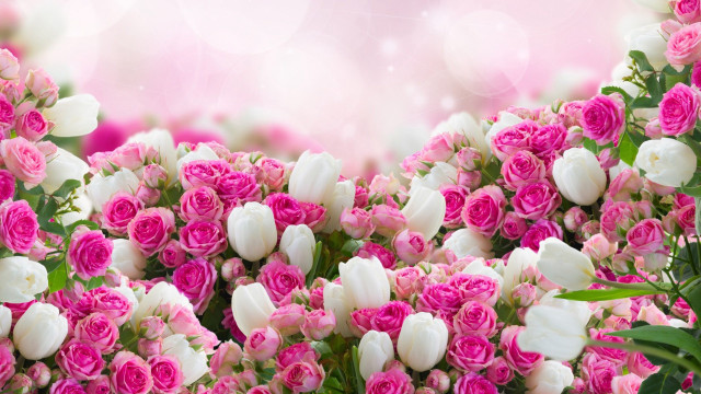 Pink white flowers background border free wallpaper for desktop - medium preview image