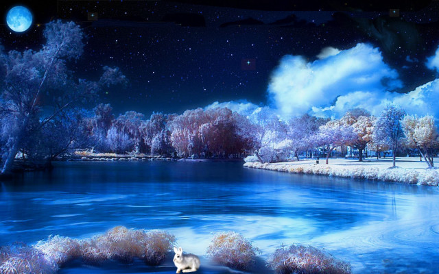Dog snow river bank night free wallpaper for desktop - medium preview image