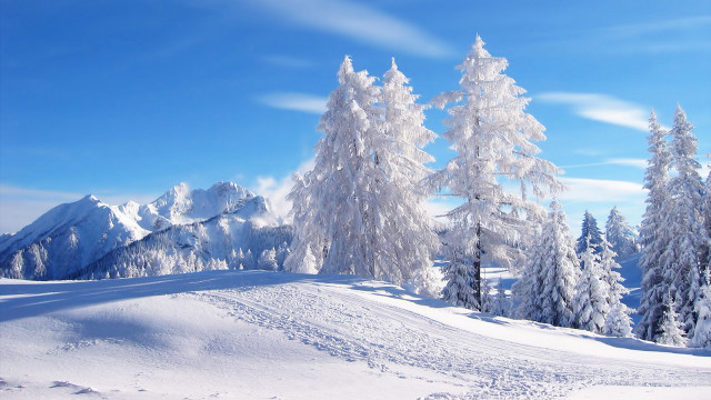 Snowy landscape trees mountains blue #4 free wallpaper for desktop - medium preview image