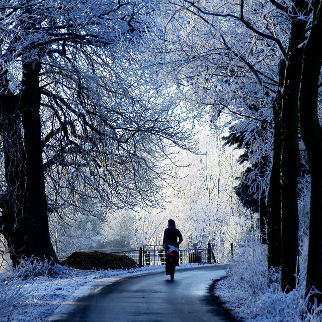Snowy bike ride winter nature free wallpaper for tablet - medium preview image