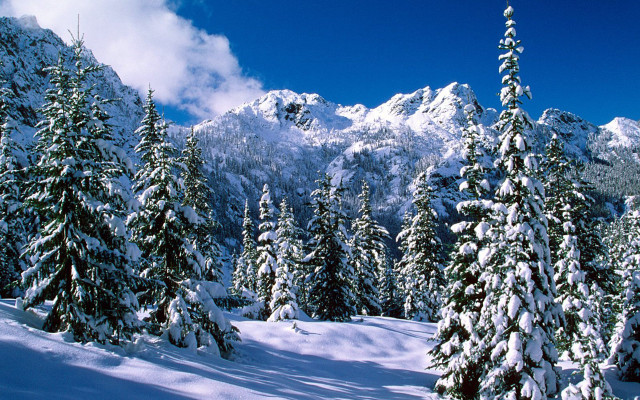 Snowy mountain trees covered clouds #4 free wallpaper for desktop - medium preview image