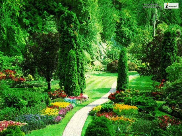 Garden path flowers trees nature free wallpaper for desktop - medium preview image