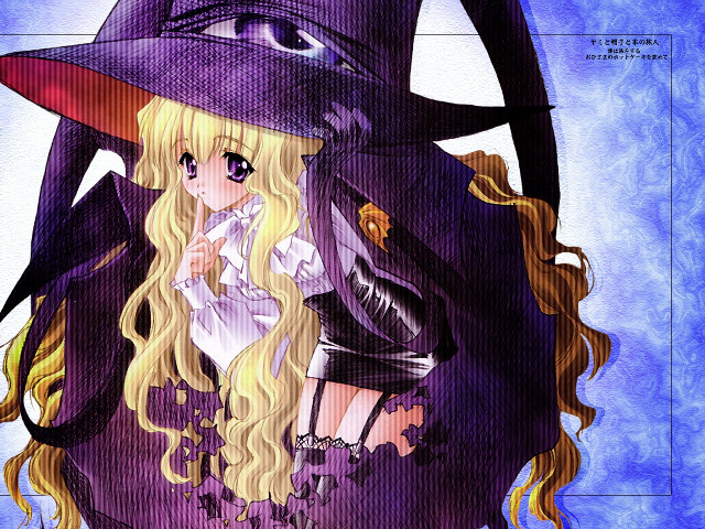 Woman witch costume hat broom free wallpaper for desktop - medium preview image