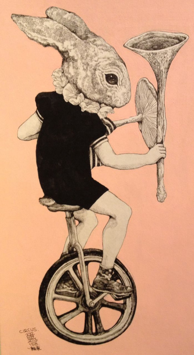 Rabbit riding bike tennis racket free wallpaper for mobile - medium preview image