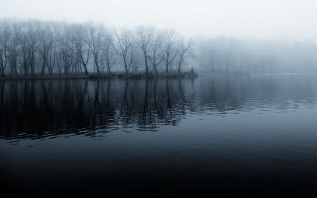 Lake trees fog water reflections #2 free wallpaper for desktop - medium preview image