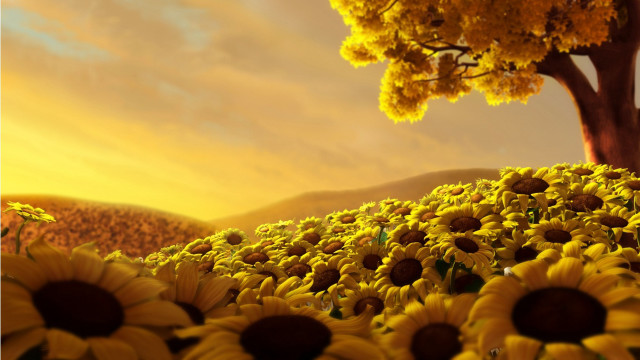 Sunflower field tree sunset clouds #2 free wallpaper for desktop - medium preview image