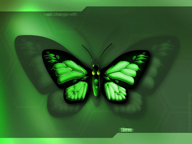 Green butterfly yellow eyes leaf free wallpaper for desktop - medium preview image