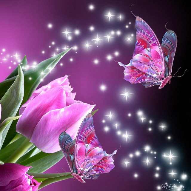Bouquet butterflies purple background stars free wallpaper for tablet - medium preview image