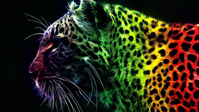 Colorful leopard black background rainbow #2 free wallpaper for desktop - medium preview image