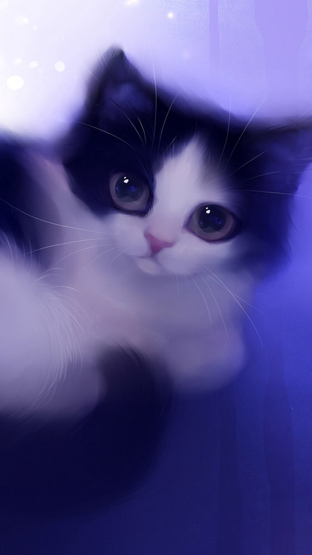 Black white cat purple background free wallpaper for mobile - medium preview image