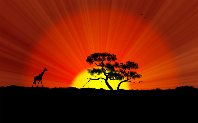 Giraffe tree sunset bird flying free wallpaper for desktop - medium preview image
